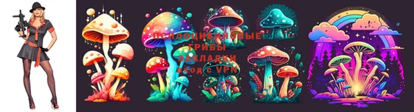 герыч Куйбышев