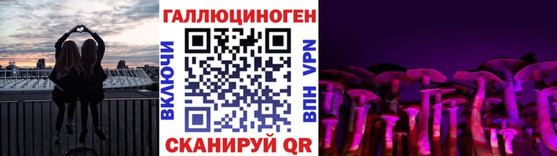 Псилоцибиновые грибы Psilocybe Купить закладки Лесосибирск