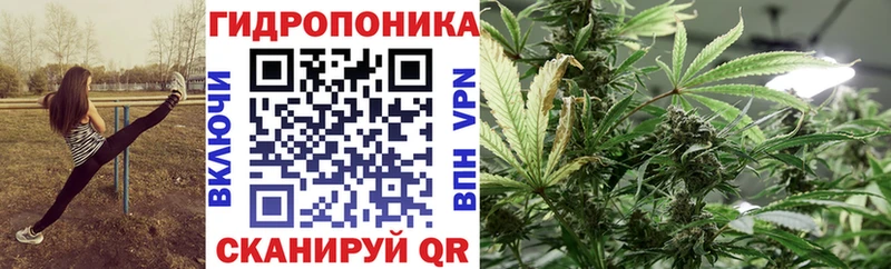 Каннабис Bruce Banner  Купить где  Лесосибирск 